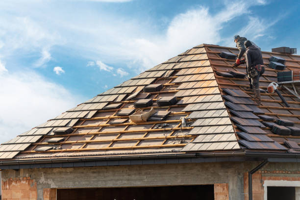 Best Asphalt Shingle Roofing  in New Ellenton, SC